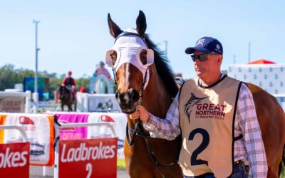 Race Day Tuesday 25th November